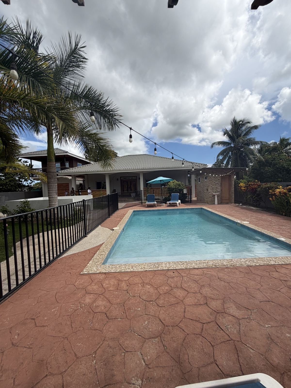 Paradise Palms pool with the villa and tropical palms in daylight
