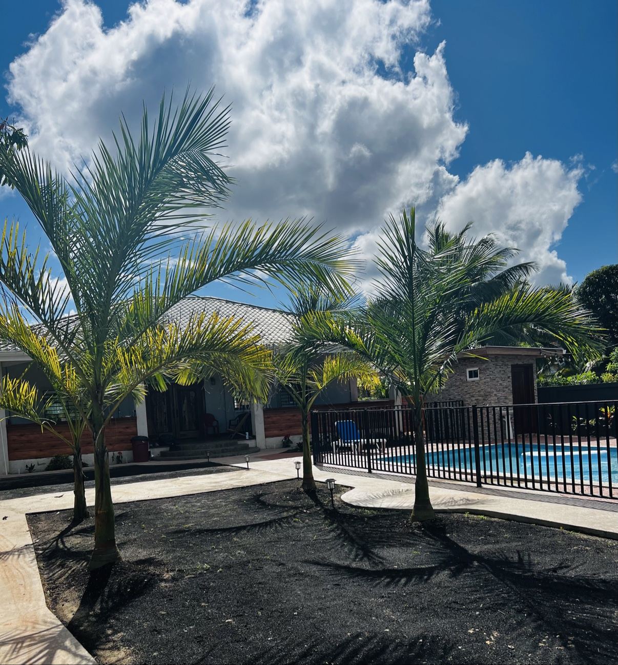 Tropical palms in front of the Paradise Palms villa and private pool